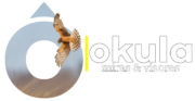 Logo Okula - Miras & Visores